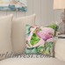 Bayou Breeze Kittel Fenicottero Flamingo Outdoor Throw Pillow DENS1426